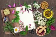 animation DIY atelier bar à fleurs et plantes comestibles