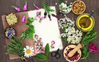 Atelier Bar à fleurs et plantes comestibles