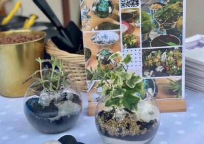 Atelier écologique DIY Terrarium - Plantes succulente