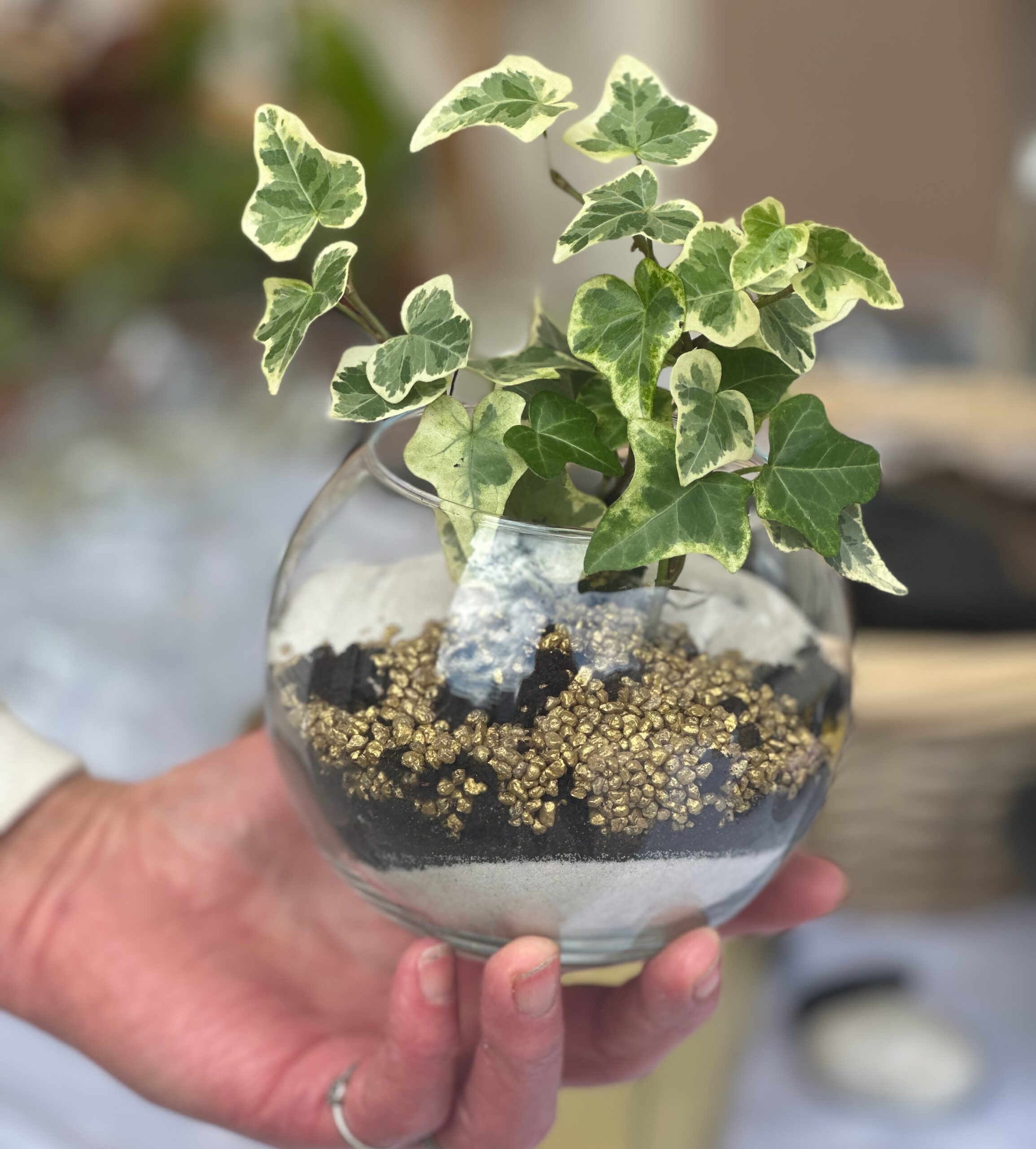 Atelier DIY terrarium végétal