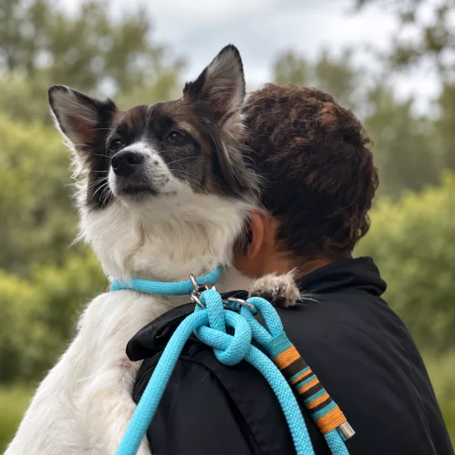 Atelier DIY longe chien laisse