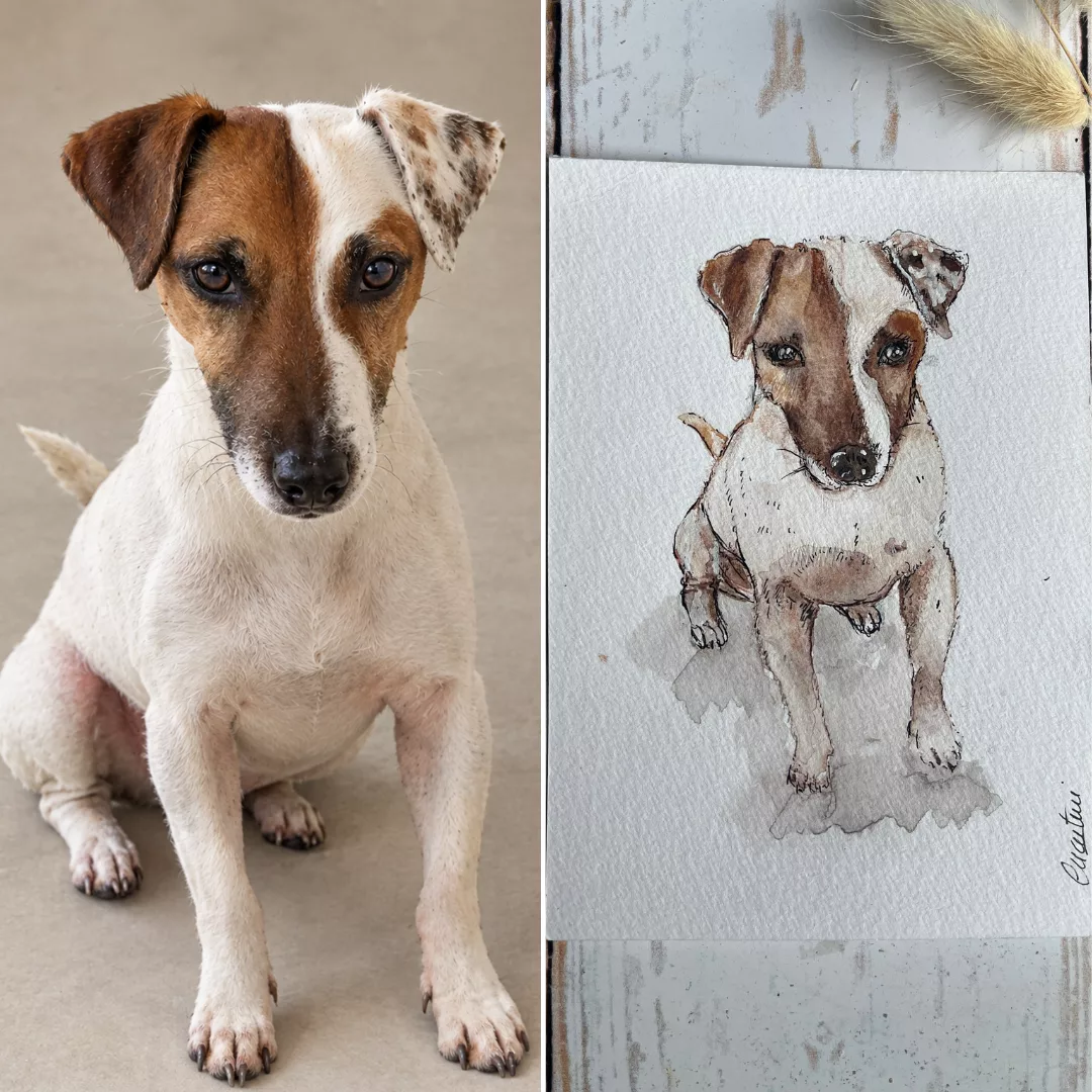 animation chien chat Sketching dessin - atelier diy